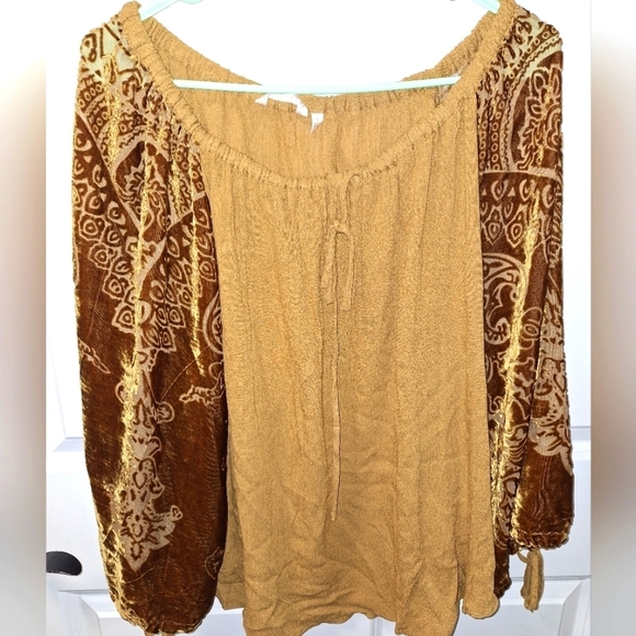 Soft Surroundings Tops - A Soft Surroundings velvet and sheer long sleeve tunic top in a size lar…